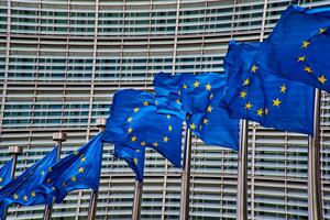 EU Flags